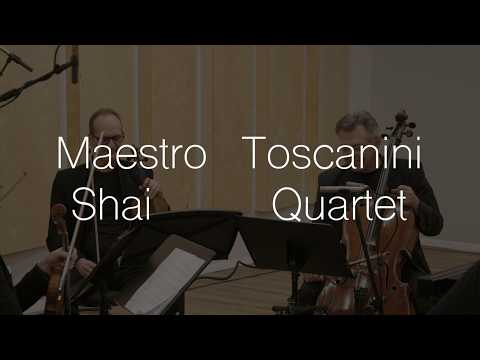 Maestro / Toscanini -  Mystery and illusions