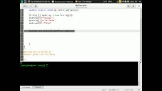 Java - Arrays - 9