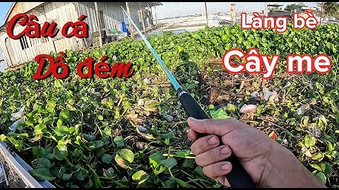 Câu cá dồ đém ở làng bè Cây Me, điểm câu yêu thích của anh em cần thủ - Tập 84