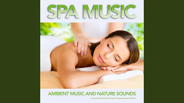 Soft Bird Music For Spa