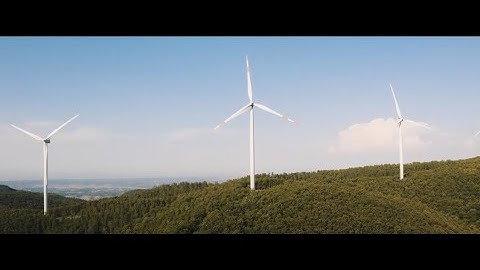 Grupo Cuerva bases its digital transformation on SAP Business One