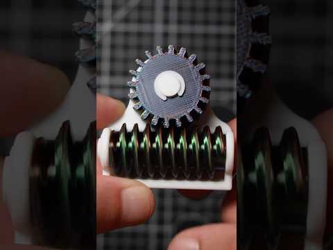 3D printed worm
