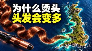 为什么烫头能显得头发多？英国海岸线与被折叠的维度