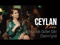 Ceylan Köse Senin İçin Ferdi Tayfur 