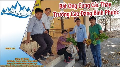 Trung tâm đào tạo lái xe bình phước