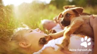 Vorgestellt Das Ist Deinetierwelt