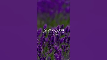 من سورة فاطر |إِنَّ اللَّهَ يعلم غَيْبِ السَّمَاوَاتِ والارض إِنَّهُ عَلِيمٌ بِذَاتِ الصُّدُورِ|