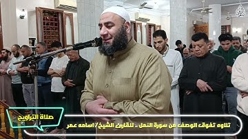 تلاوه تفوق الوصف من سورة النمل..للقارئ الشيخ/ اسامه عمر من صلاة التراويح الليلة 19رمضان1446ه‍ـ