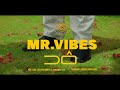 Mrvibes  d vdeo oficial