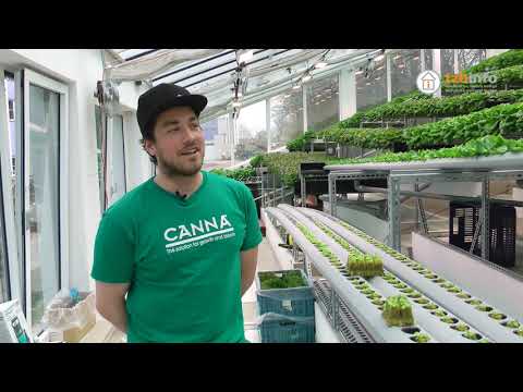 Video: Je Pěstování Zeleniny Ziskové Podnikání?