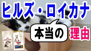 獣医師がヒルズ・ロイヤルカナンを勧める本当の理由|ドッグフードキャットフード