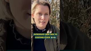 How to introduce new hens to an existing flock ? #shorts  #chickencoop #chickenkeeping #homestead