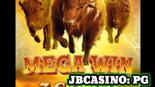 JB ¦ PG ¦BUFFALO WIN #gamekingdom #au777 #smcasino #megapanalo #rich9 #lodibet #okbet #phdream #bwin
