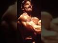 Según Mike Mentzer no necesitas muchas series. #mikementzer #heavyduty #danielcortizas #mrolympia