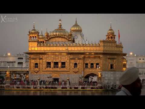 Golden Temple Golden Hour 4K