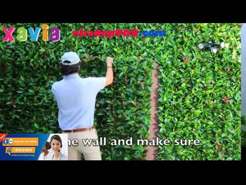 Video Hướng dẫn thi công cỏ nhân tạo ốp tường, miếng có dán... - youtube
