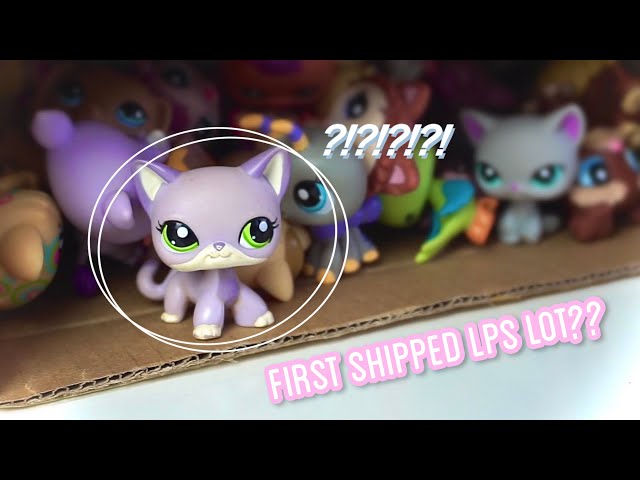 Random Lps Toys Lps Rare Children's Toy Gifts Interesting - Temu