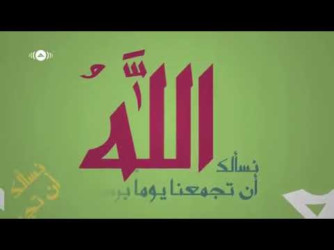 محمد الزكريا  