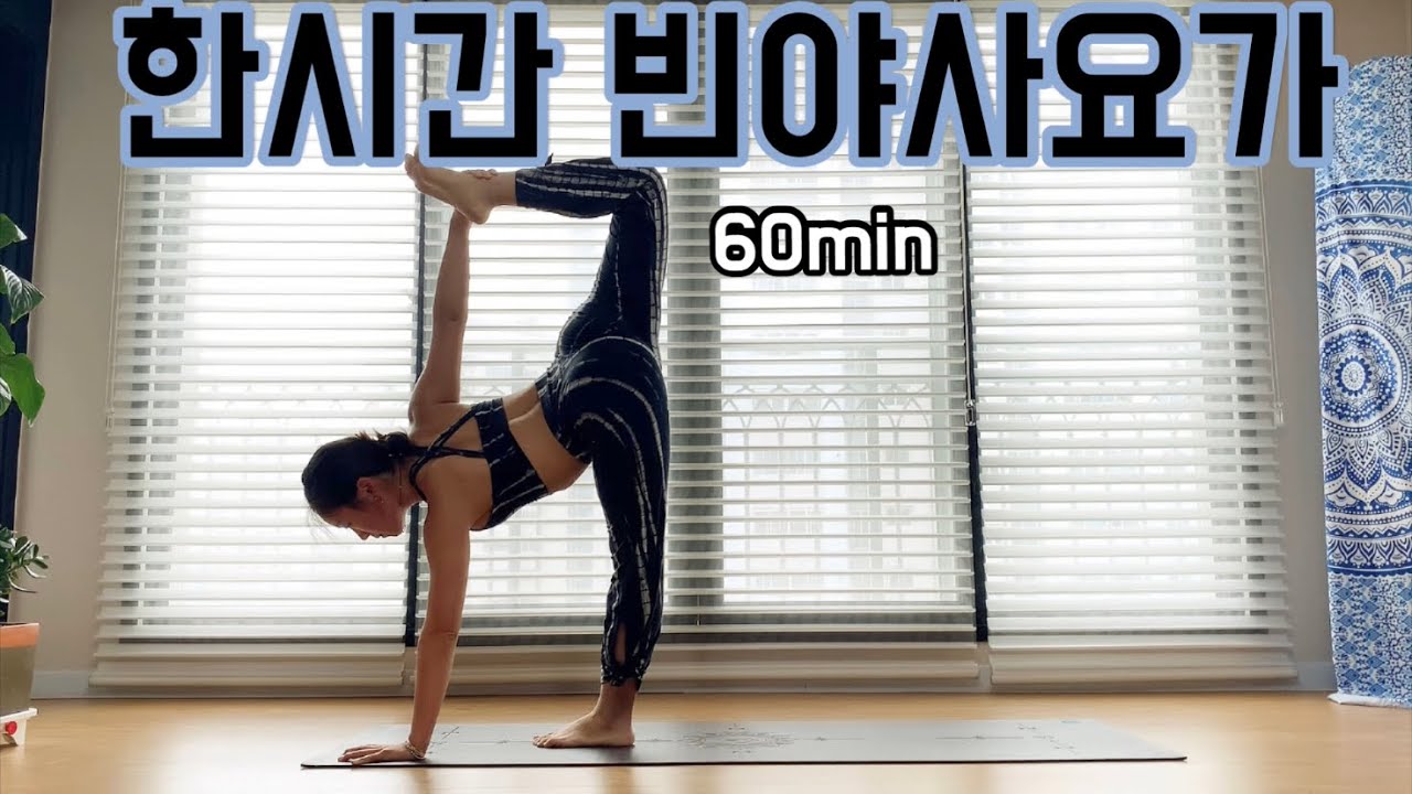 [서리요가#80] 3만자축기념 / 땀나는 한시간 빈야사플로우 /  역자세 제외 시퀀스