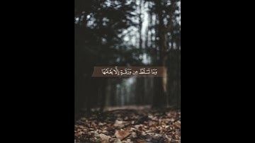 وَعِنْدَهُ مَفَاتِحُ الْغَيْبِ لَا يَعْلَمُهَا إِلَّا هُوَ.. || سورة الأنعام || إدريس أبكر || قرآن