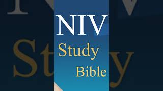 Audio Bible Book Free Download Study Offline screenshot 4