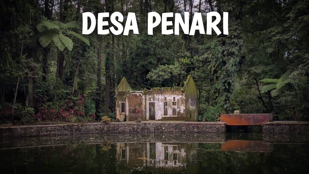 FULL MERINDING! KKN DESA PENARI 2025 BANYUWANGI