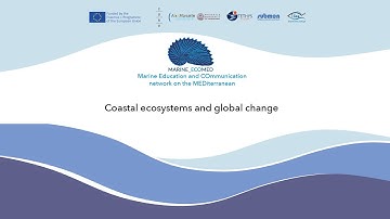 4 - Coastal ecosystems and global change