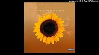 FLOWER BLOOMS IN A STORM