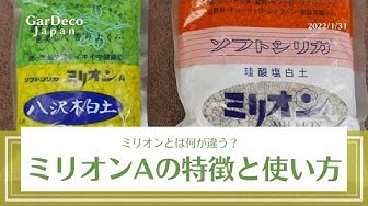 ミリオン Youtube