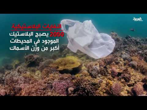 فيديو: ما هو تأثير التلوث على الحياة البحرية؟