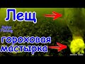 🐟 ГОРОХОВАЯ МАСТЫРКА vs покупная прикормка - подводное видео. Батл. Лещ, плотва на горох.