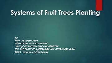 Systems of Fruit Trees Planting