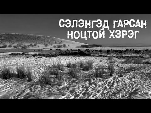 Видео: Цус сорогчийн хазалтыг хэрхэн эмчлэх вэ?