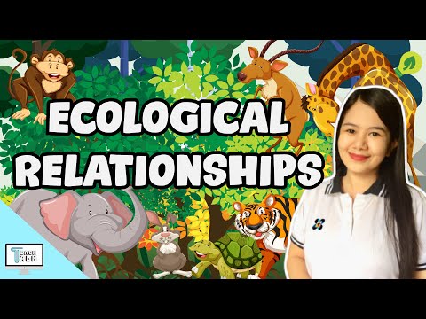 Ecological Relationships (Predation, Commensalism, Mutualism, Parasitism, Competition) | Biology