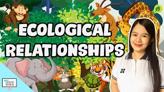 Ecological Relationships (Predation, Commensalism, Mutualism, Parasitism, Competition) | Biology