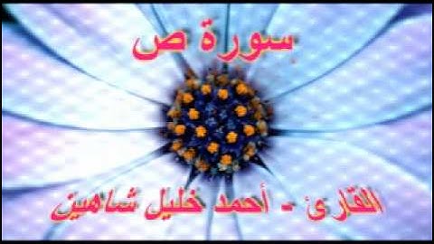أحمد خليل شاهين - سورة ص
