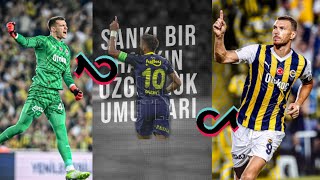 En iyi Fenerbahçe tiktok videoları| Fenerbahçe tiktok videoları 2024 #fbreelsvideo #fbreels#tadic