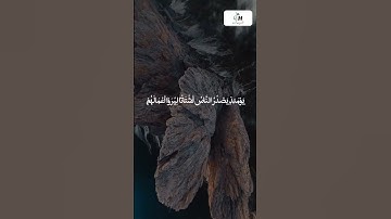 ترجمه دري/فارسي سوره زلزال
