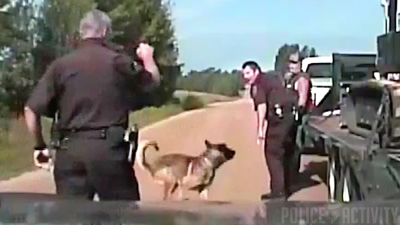 Do Police Dogs Bite