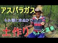 【アスパラガス】【家庭菜園】もみ殻と米ぬかの力は偉大です！