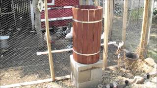 Homestead Vegetable Garden Sept 2013
Its been a few weeks since my last update. Today I update a few things I have growing and my first sprouts in the fall garden are starting to come up. At the end of the video I include a few bits and pieces of videos that havent made it to YouTube. Thanks for watching. Homestead Vegetable Garden Sept 2013