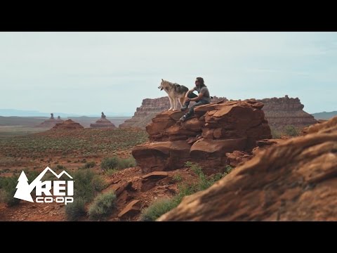 Video: Camping Cu Loki Wolfdog - Rețeaua Matador