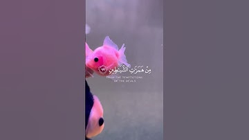 وقل رب أعوذ بك من همزات الشياطين 😓💔|حالات واتساب تلاوات قرآن|حالات قرآنيه| سورة المؤمنون|حالات قرآن