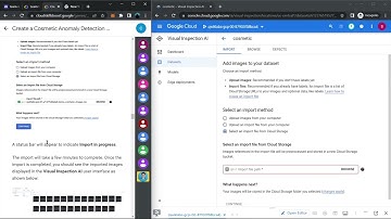 Create a Cosmetic Anomaly Detection Model using Visual Inspection AI | GSP897