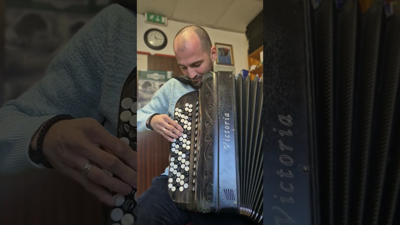 Nikola Zarić u radionici " Akkordeonservice Pavic"