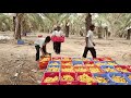 PR PRODUCTIONS corporate film on India's one of the largest Barhi Dates Farm