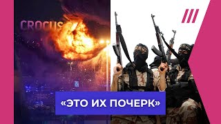 Теракт в «Крокусе»: последние новости - 5 