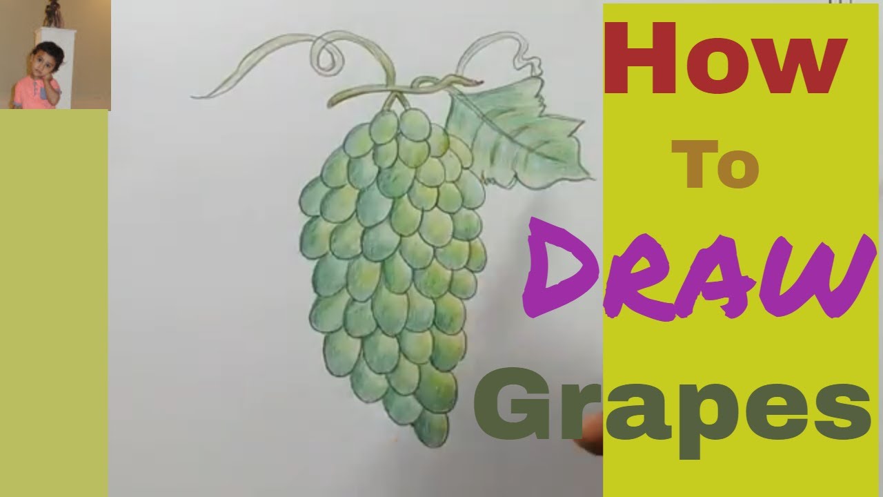 Download How To Draw Grapes And Coloring Step By Step../Draw Green ...