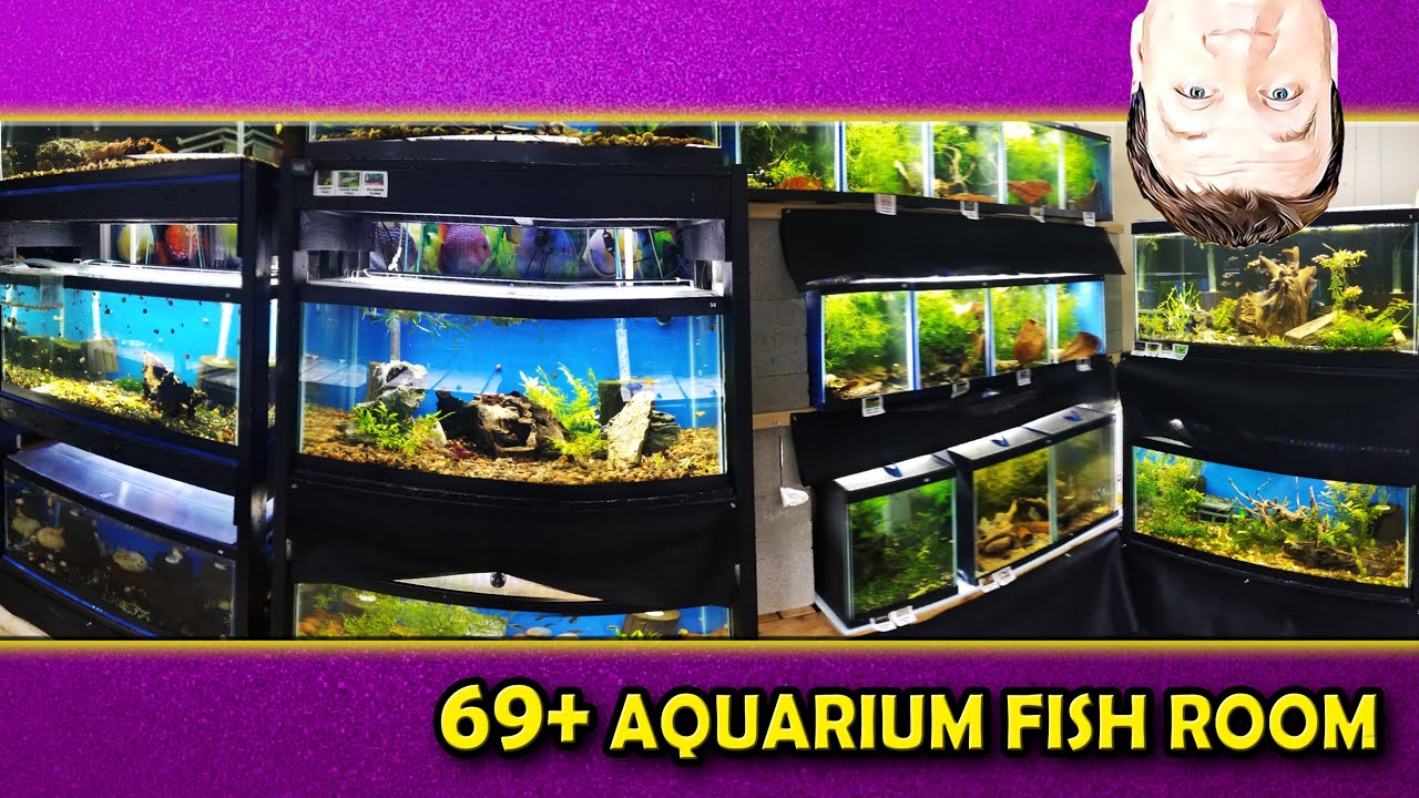 69+ Aquarium Fish Room Tour Turning your Garage into Paradise!! YouTube