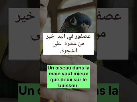 أمثال مترجمة عربية اكسبلور     العبري   فرنسية